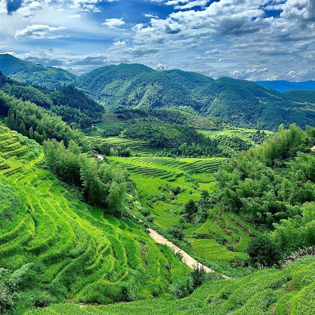 桃源梯田景区