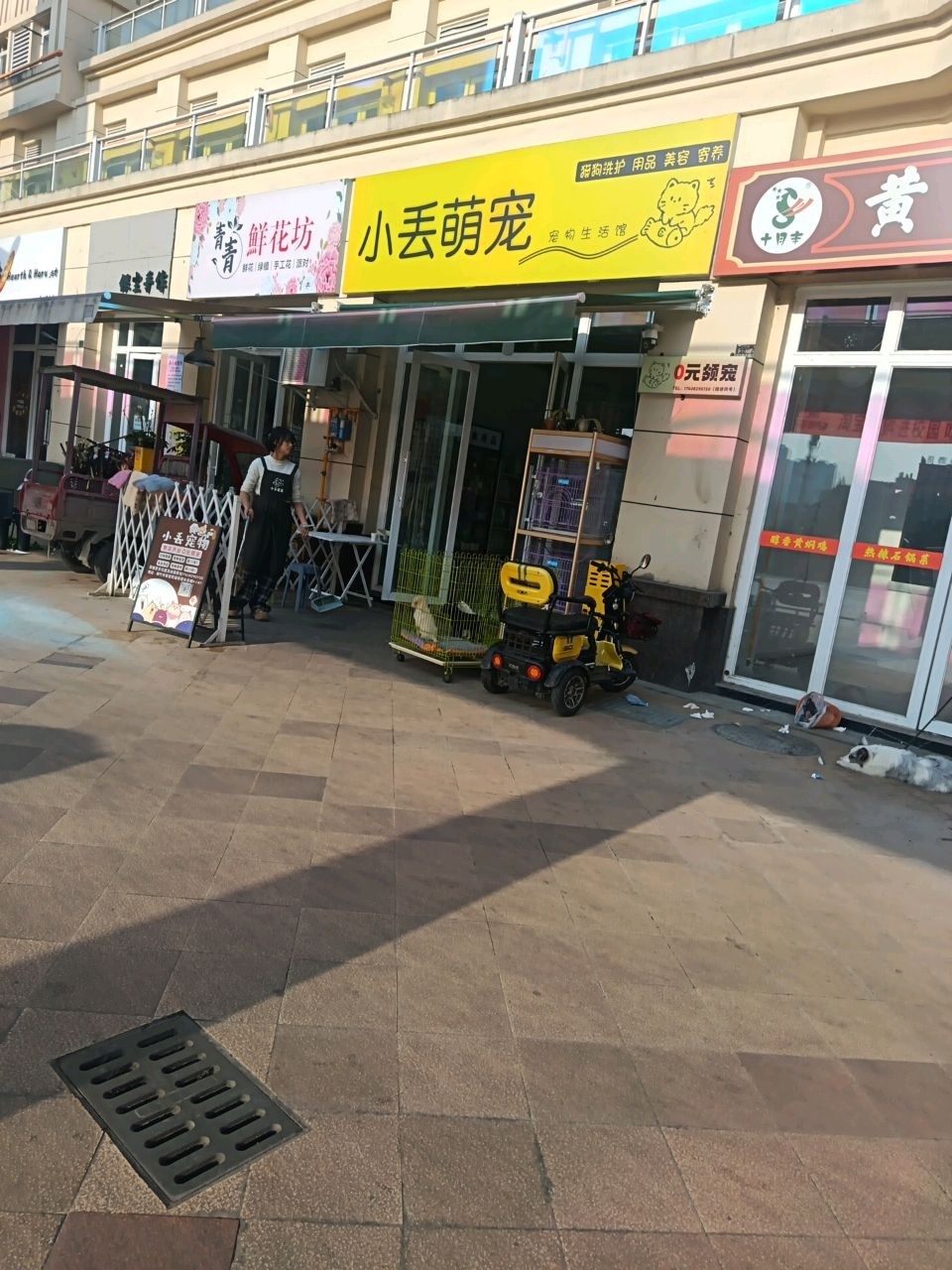 小丢萌宠宠物生活馆