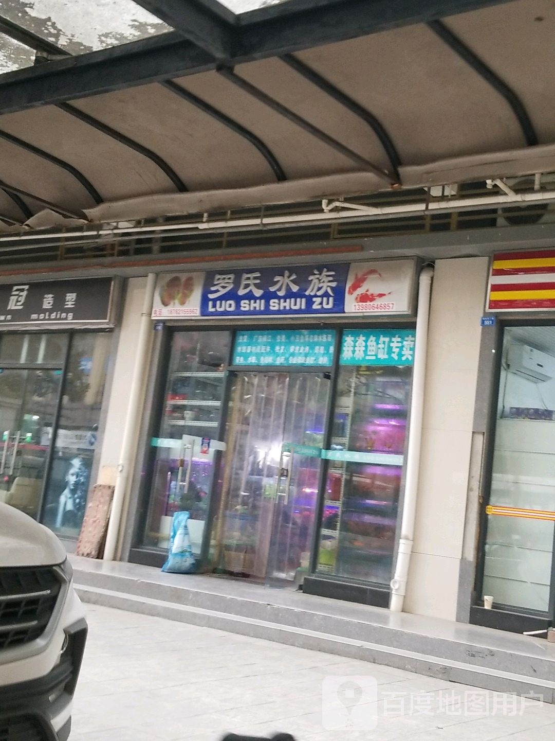 罗氏水族(锦尚西二路店)