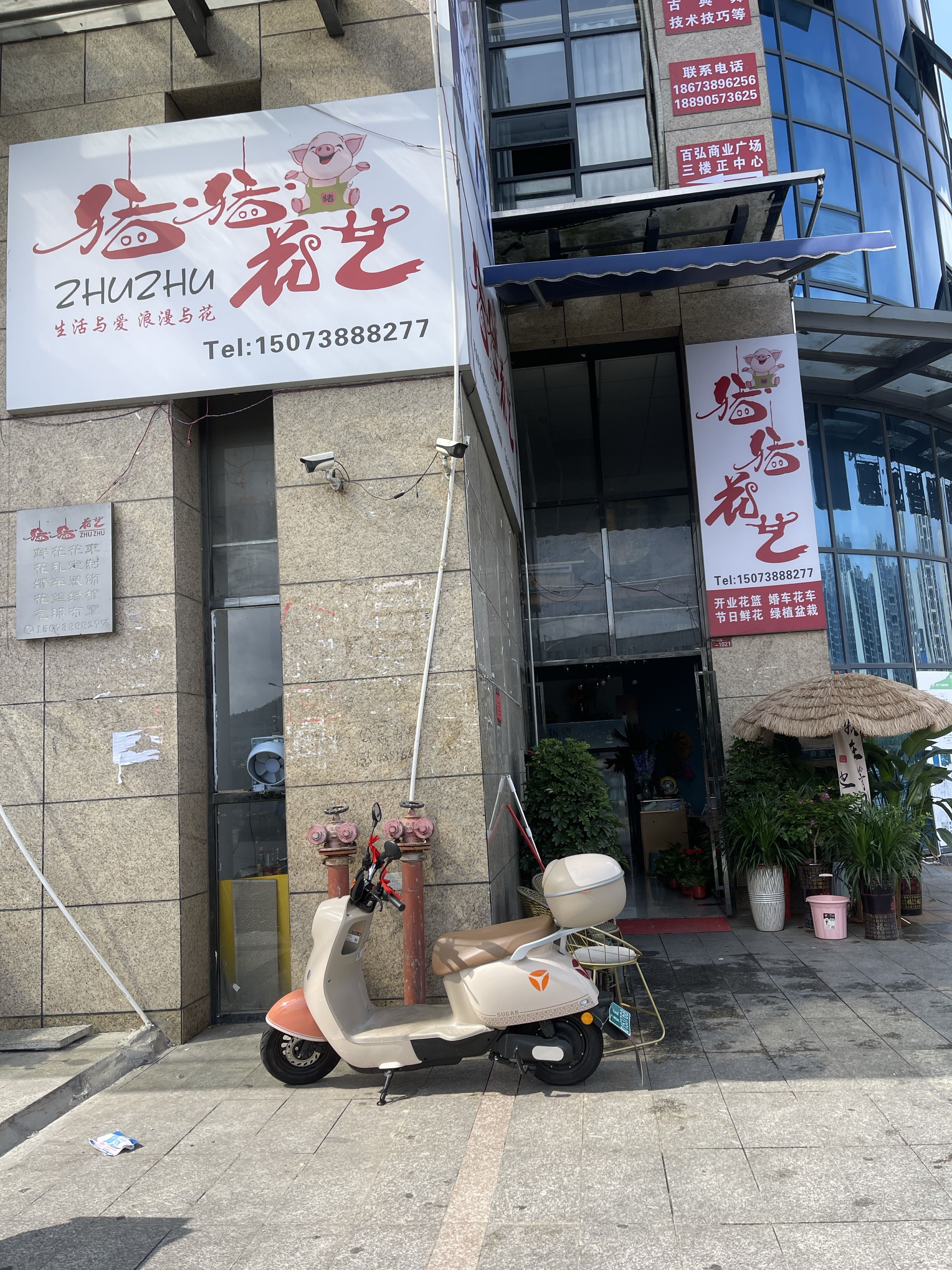 猪猪花艺(百弘·学府城A区店)