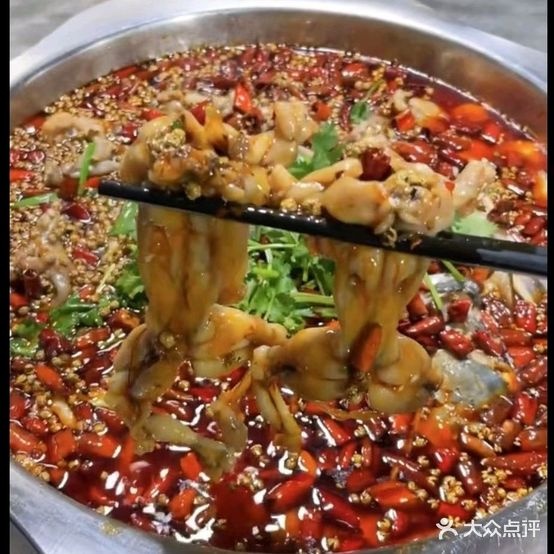 蜀道川美蛙鱼(飞达·宜居康郡2期店)