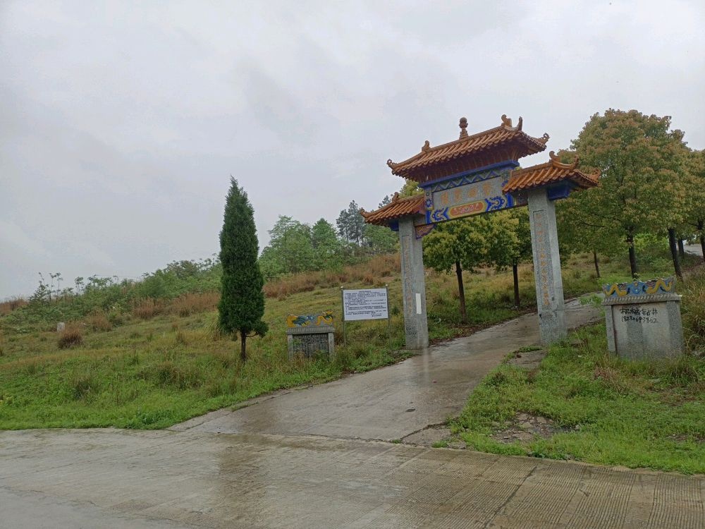 赛田宝陵