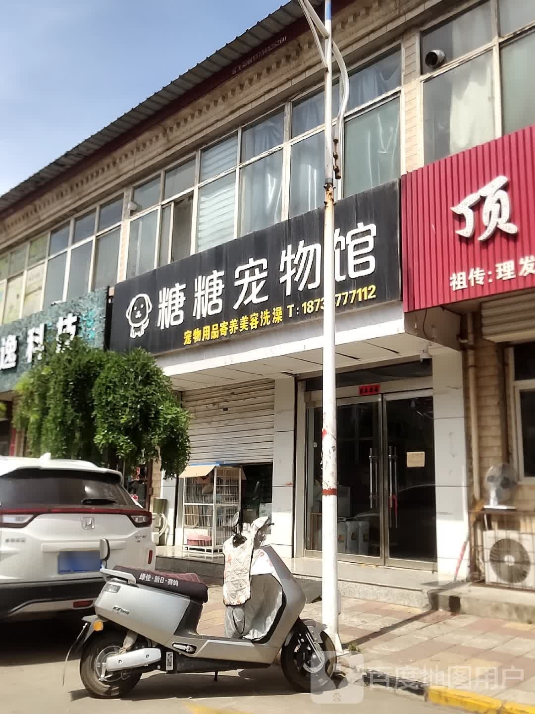 糖糖宠物