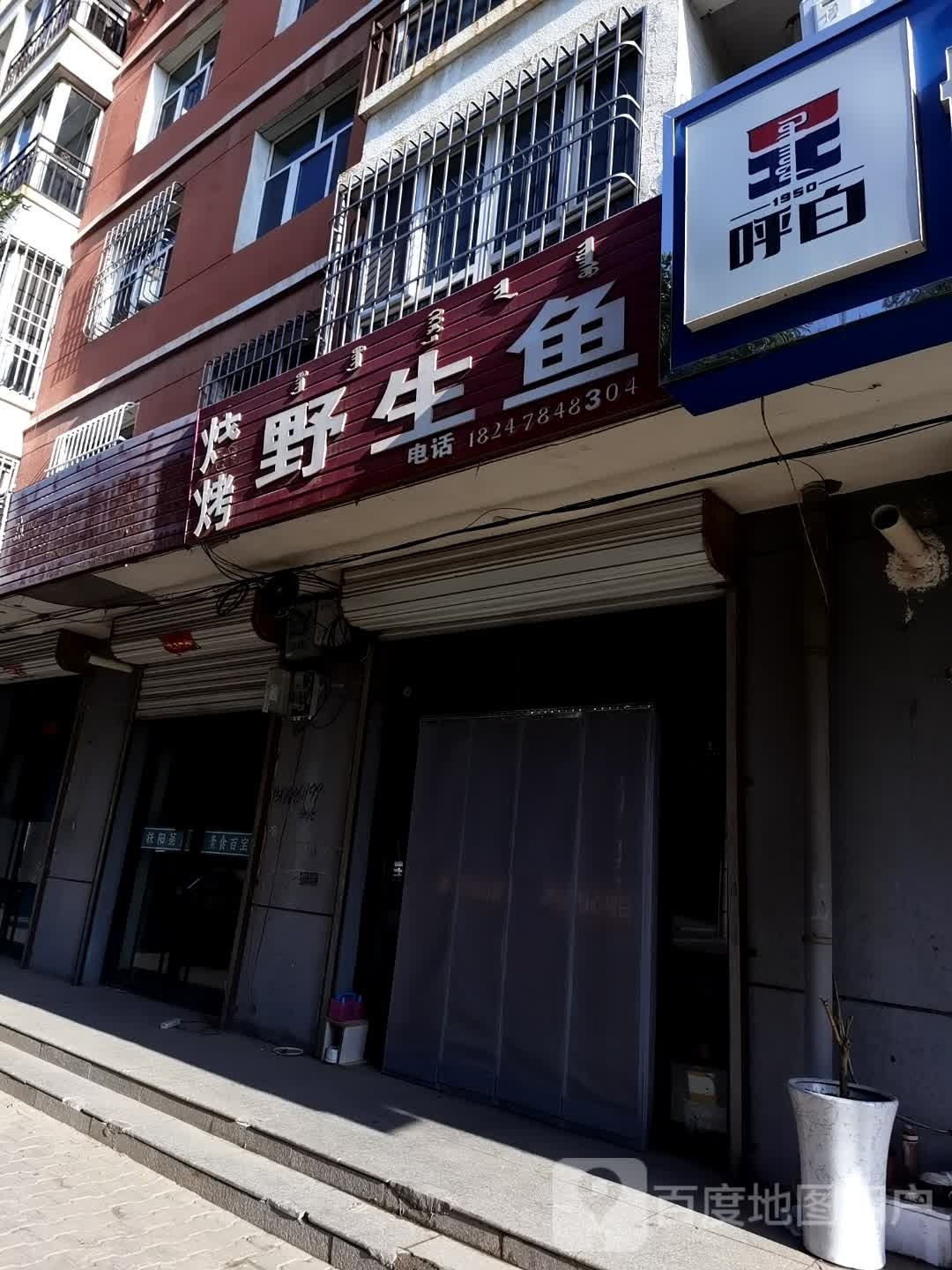烤烧野生鱼