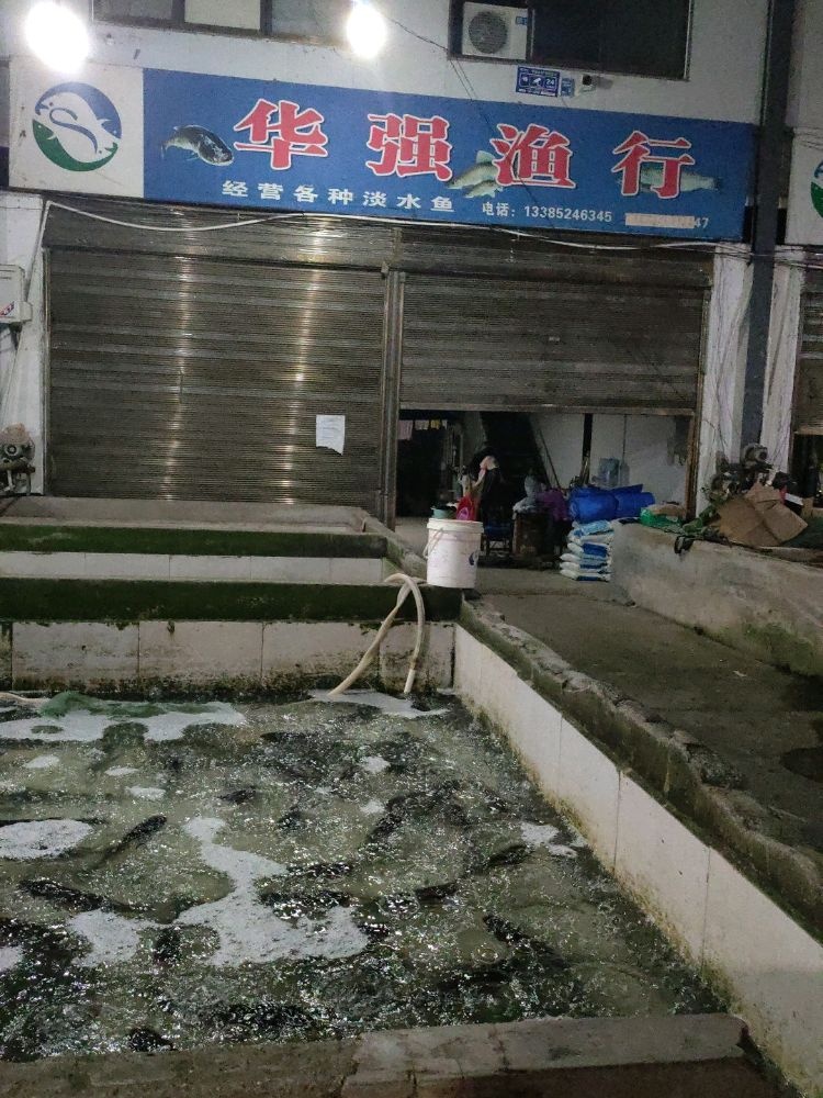 华强渔行