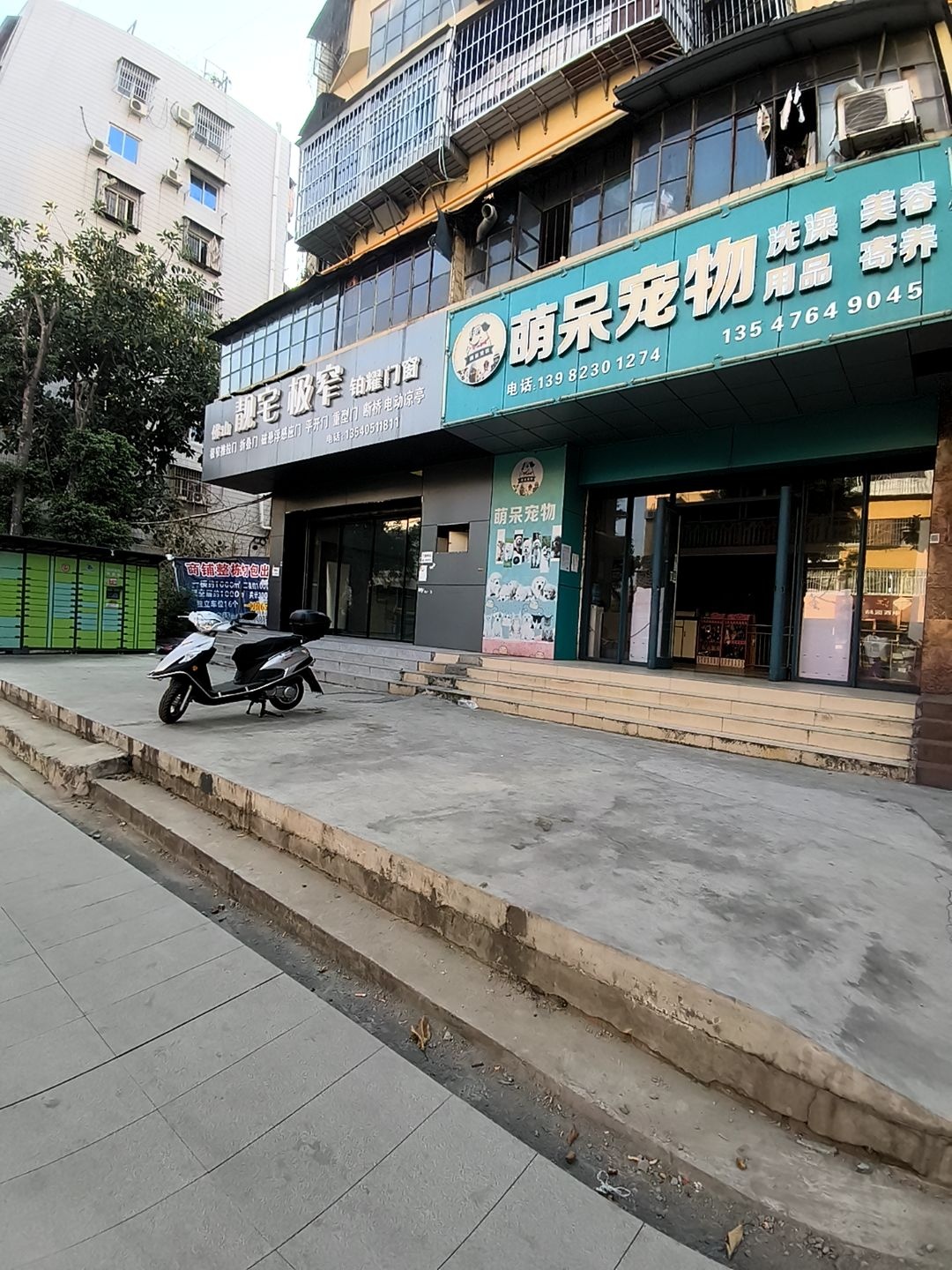 萌呆宠物