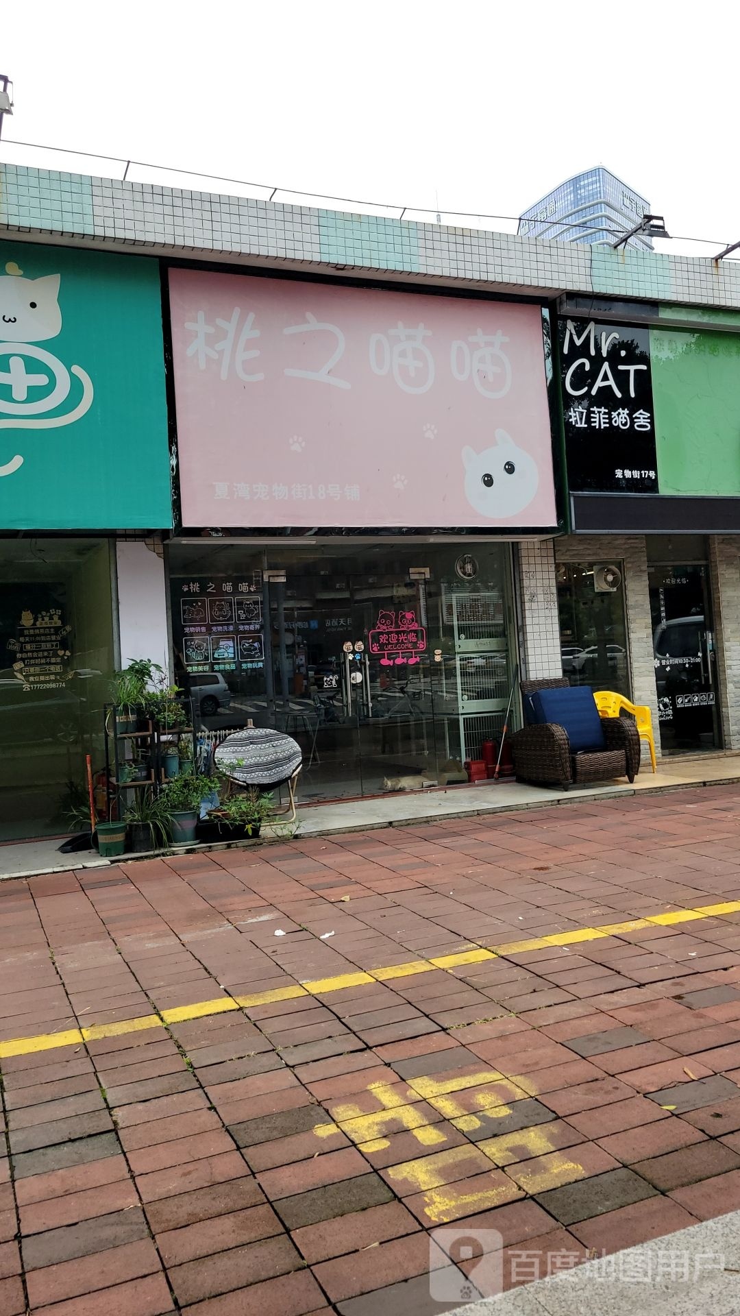 喵先森(宠物店)