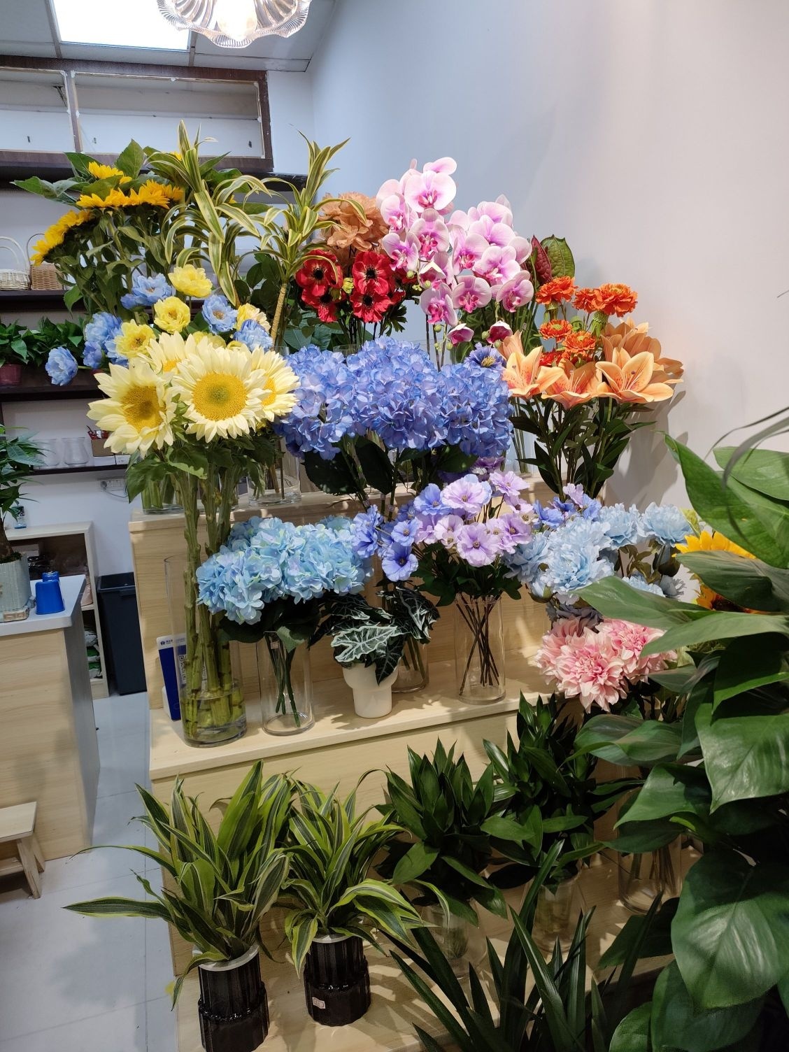 茉上花开