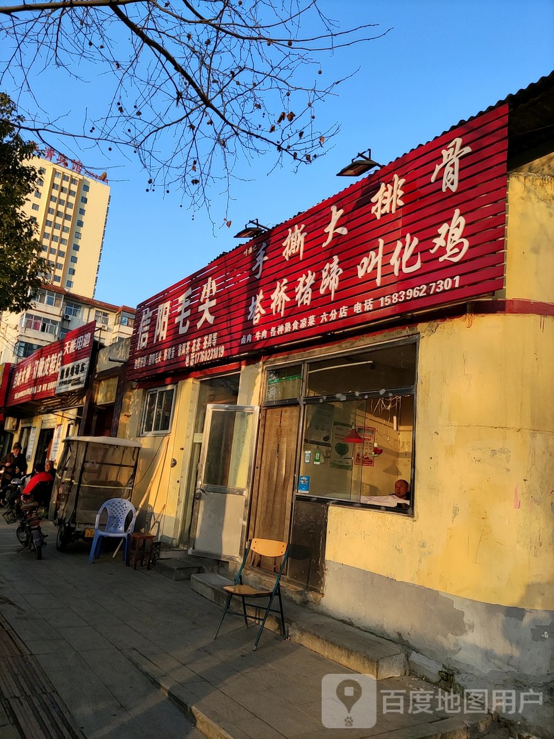 信阳毛尖(骏马路店)