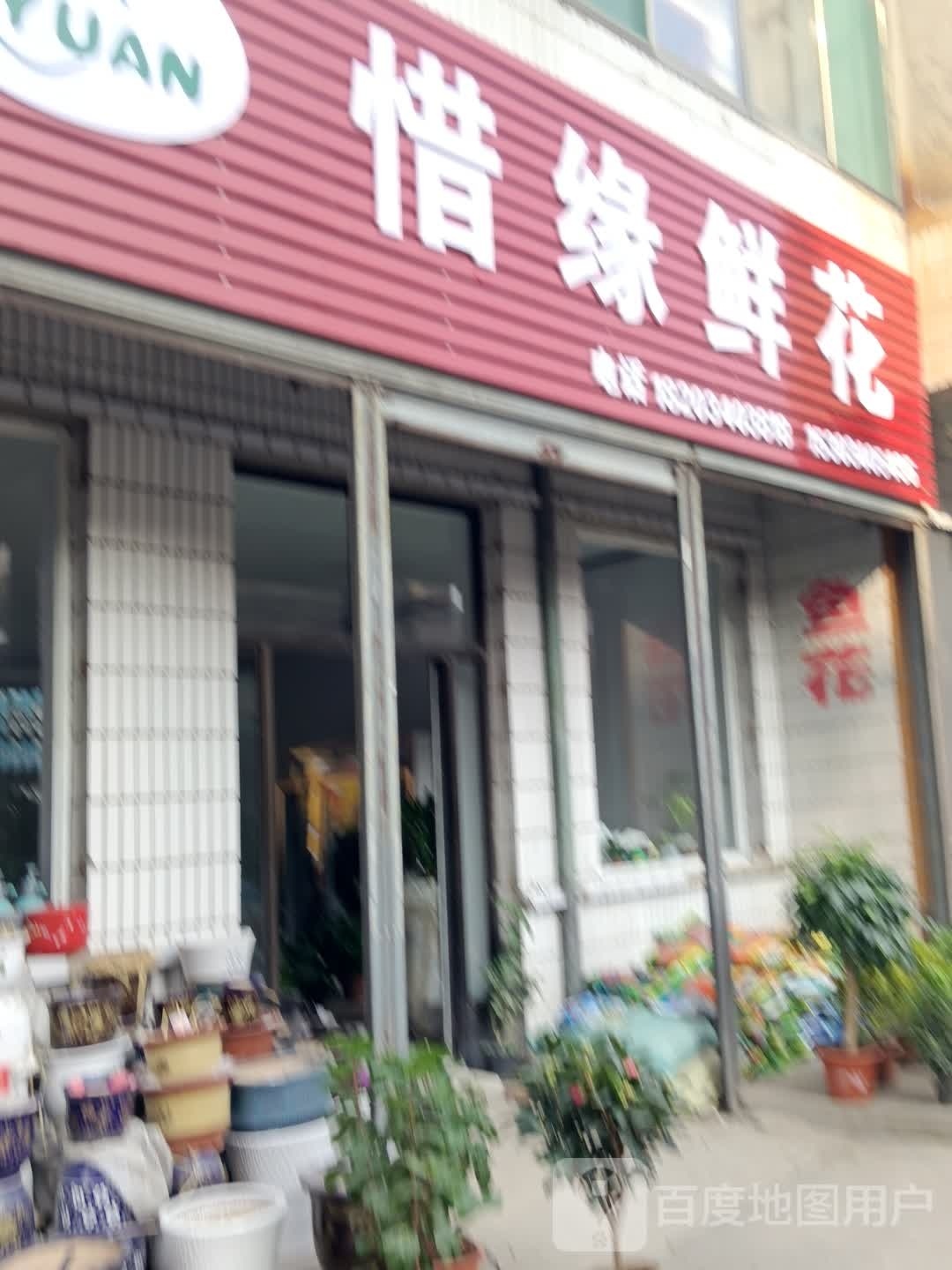 惜缘鲜花