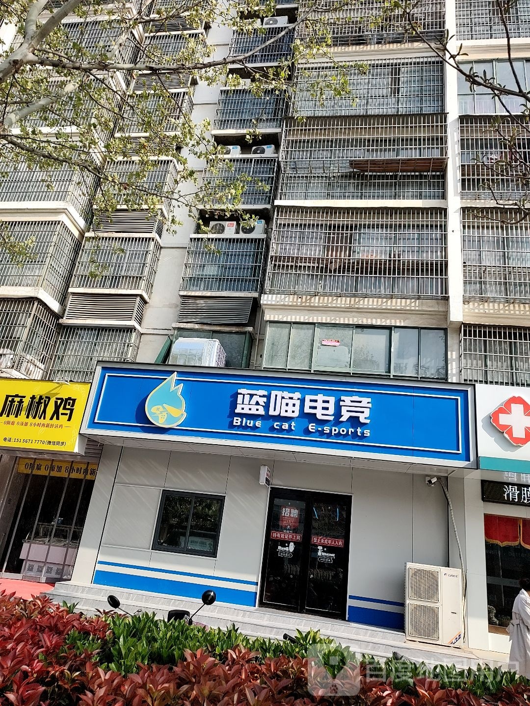 蓝喵电竞
