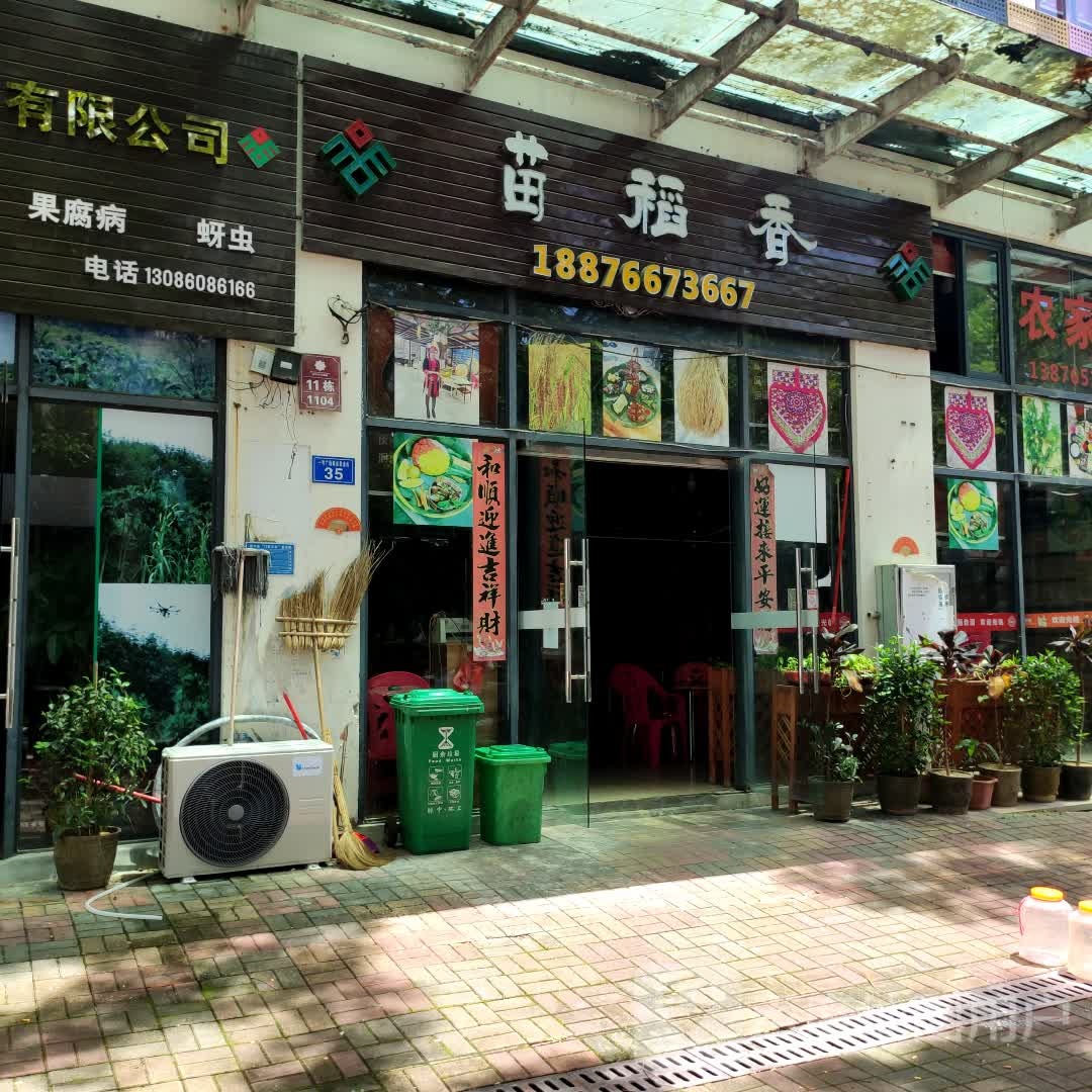 苗稻香(琼中壹号广场店)