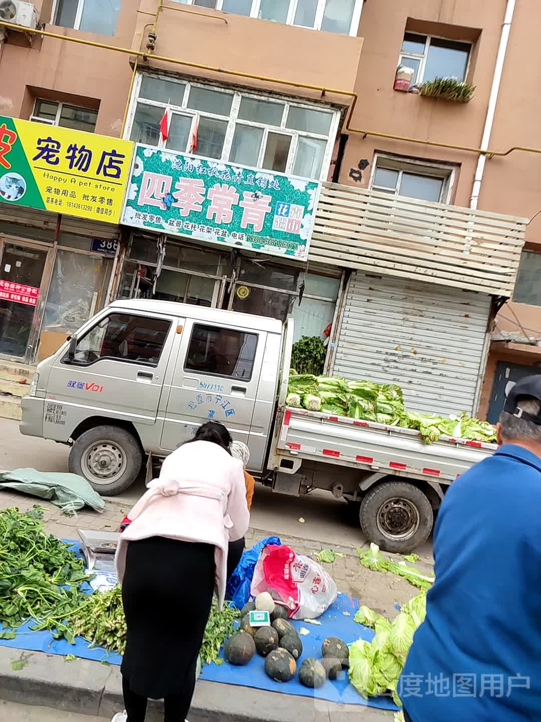 玩皮宠物店