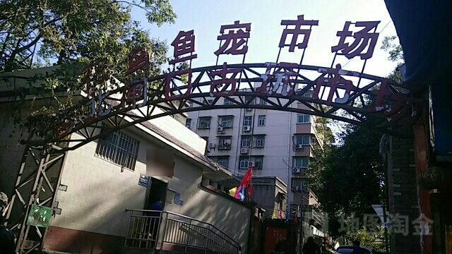 老北闸口花鸟鱼宠市场