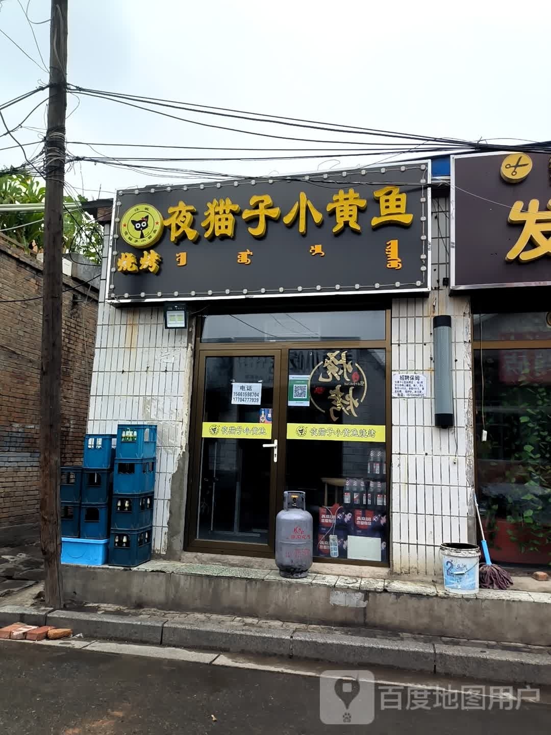 夜猫子小黄鱼(供电局店)