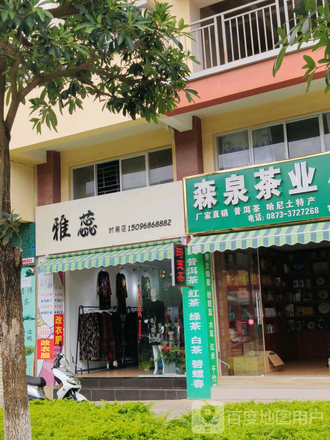 森泉茶业体验店