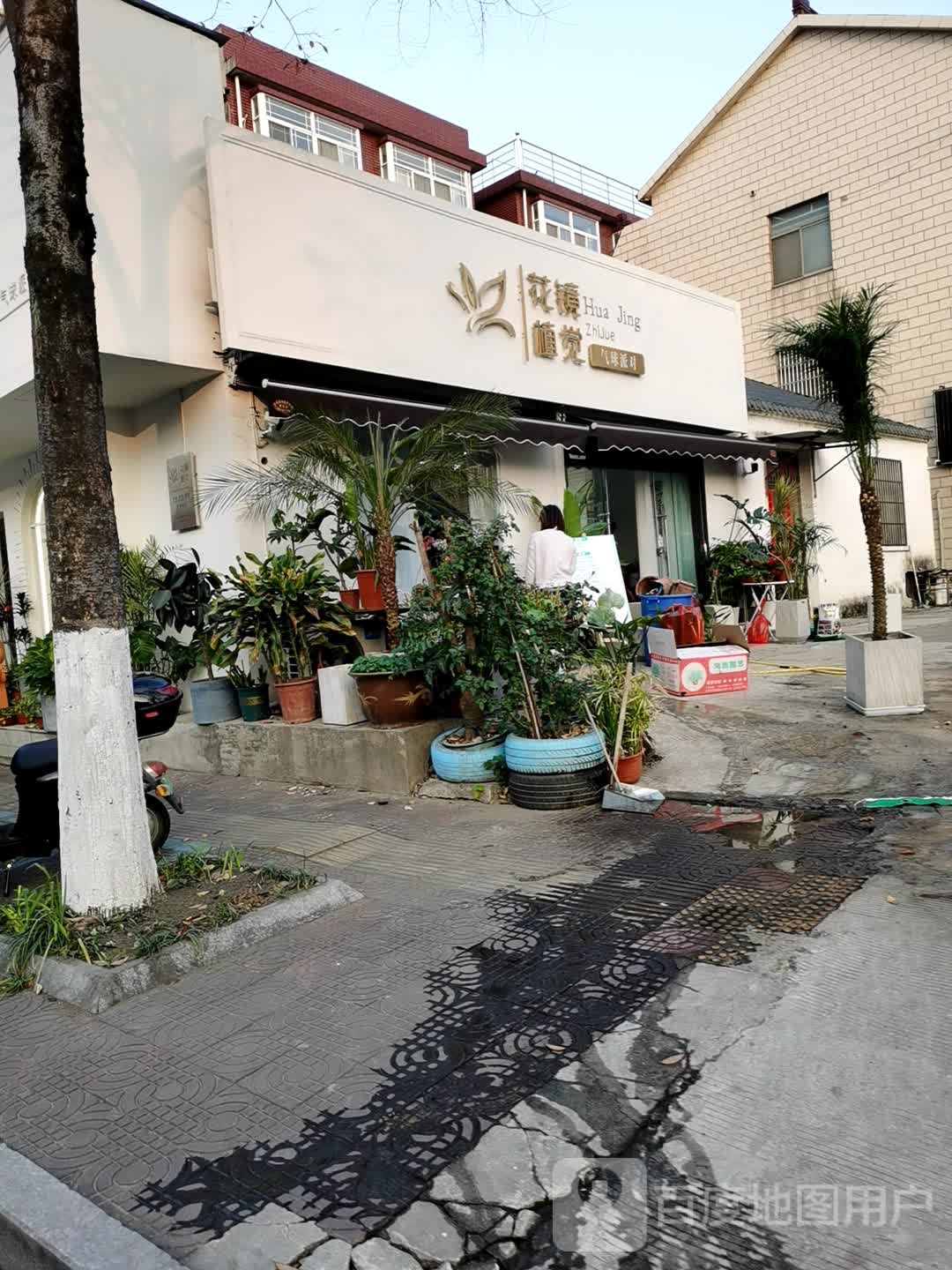 花镜植觉
