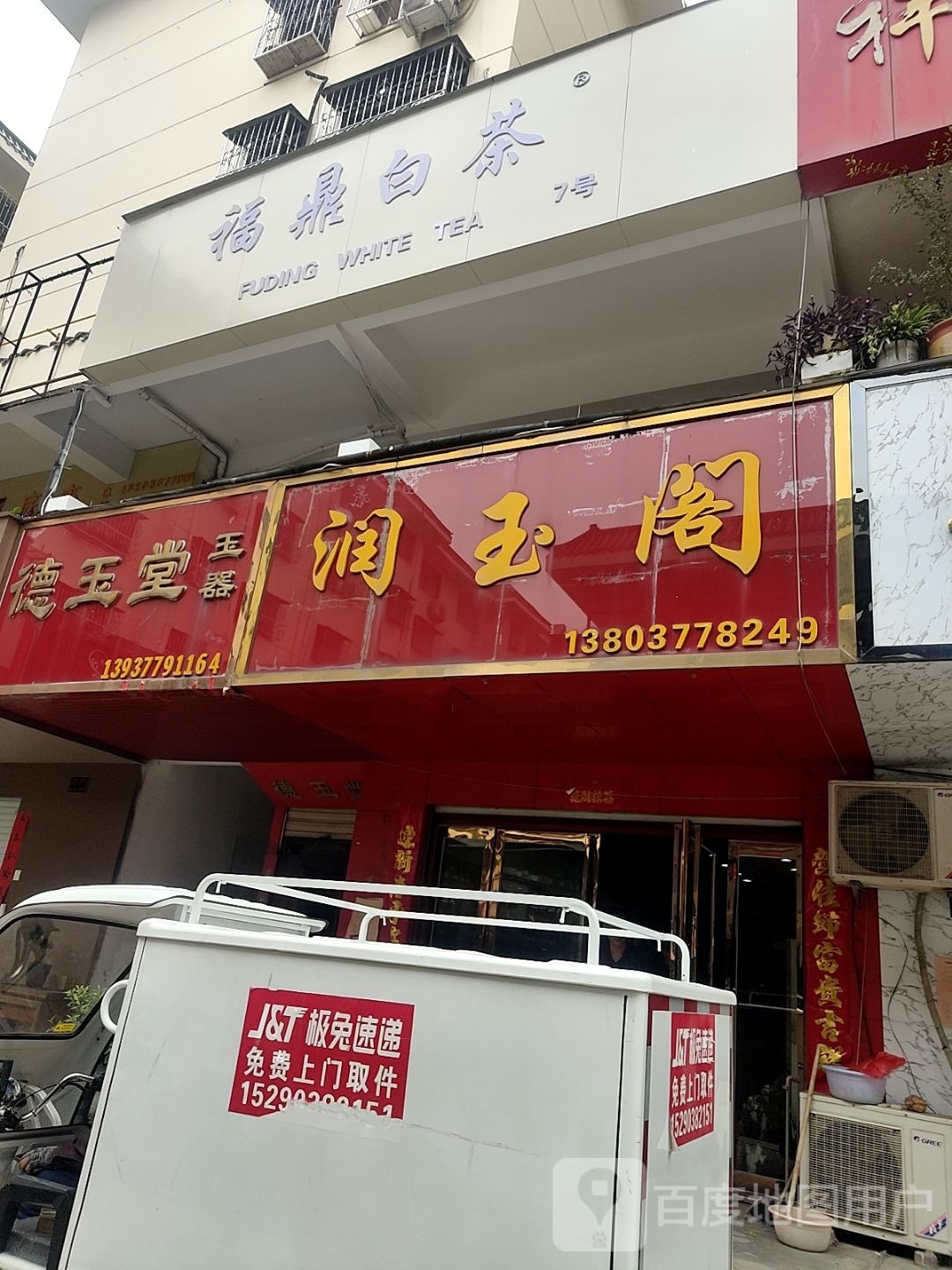 福鼎白茶(卧龙路店)