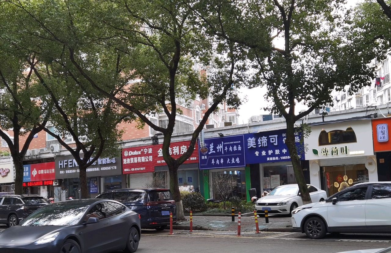 清真兰州牛肉拉面(苍松路店)