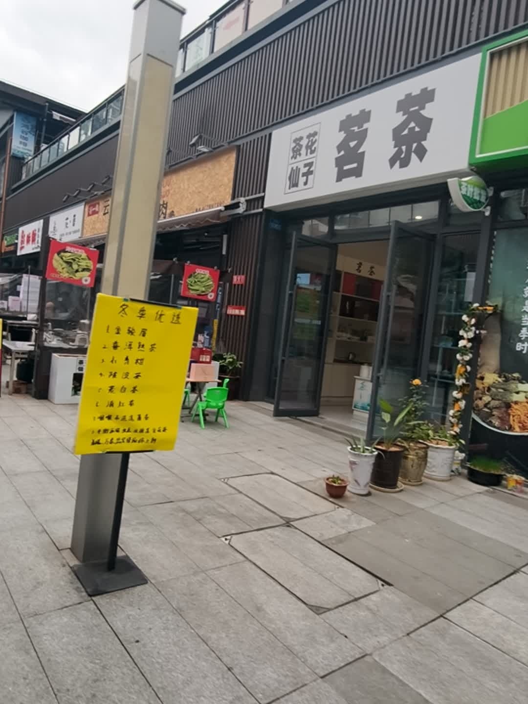 茶花仙子茗茶