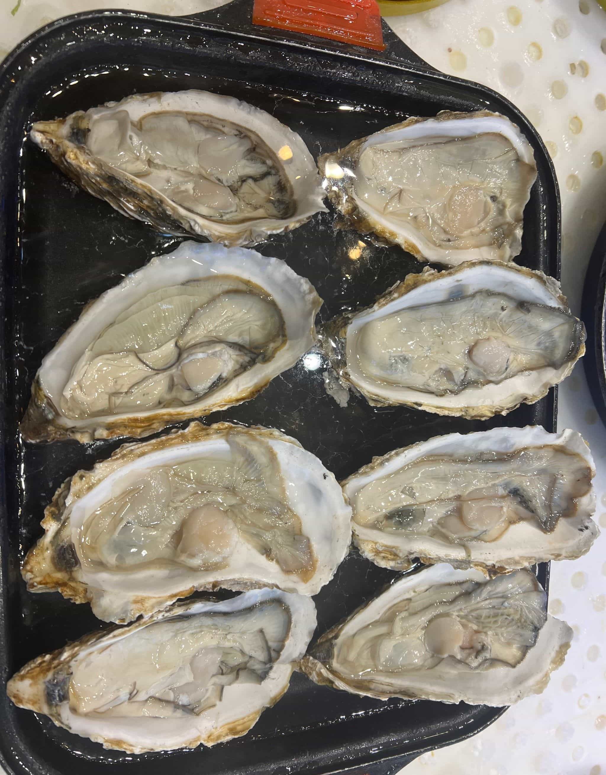 厚海渔港(济宁店)