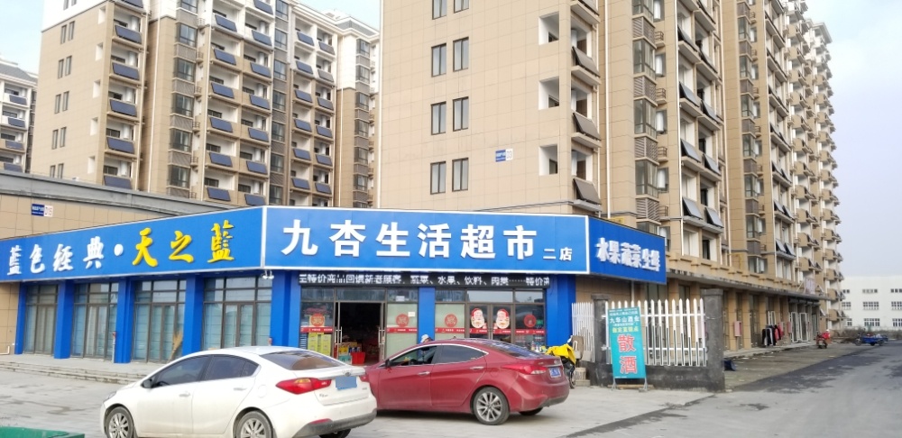 九杏表示(二店)