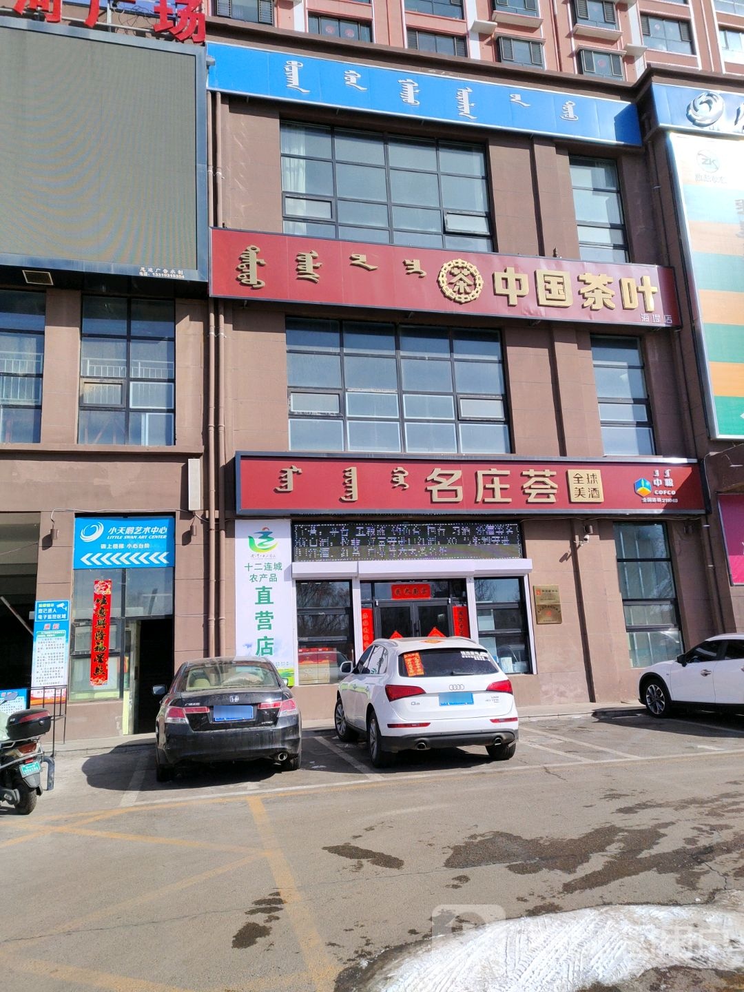 白天鹅艺术中心(星河广场店)