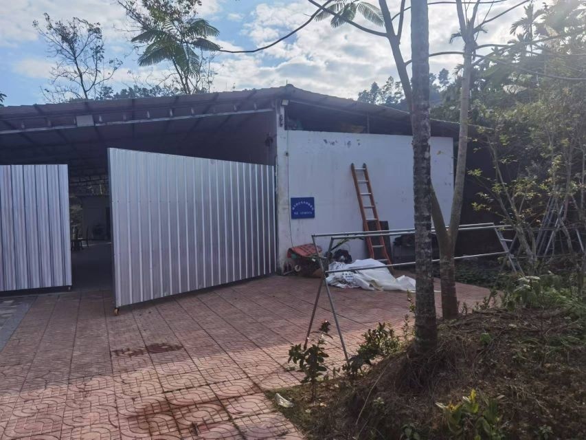 通天岭红毛丹种植基地