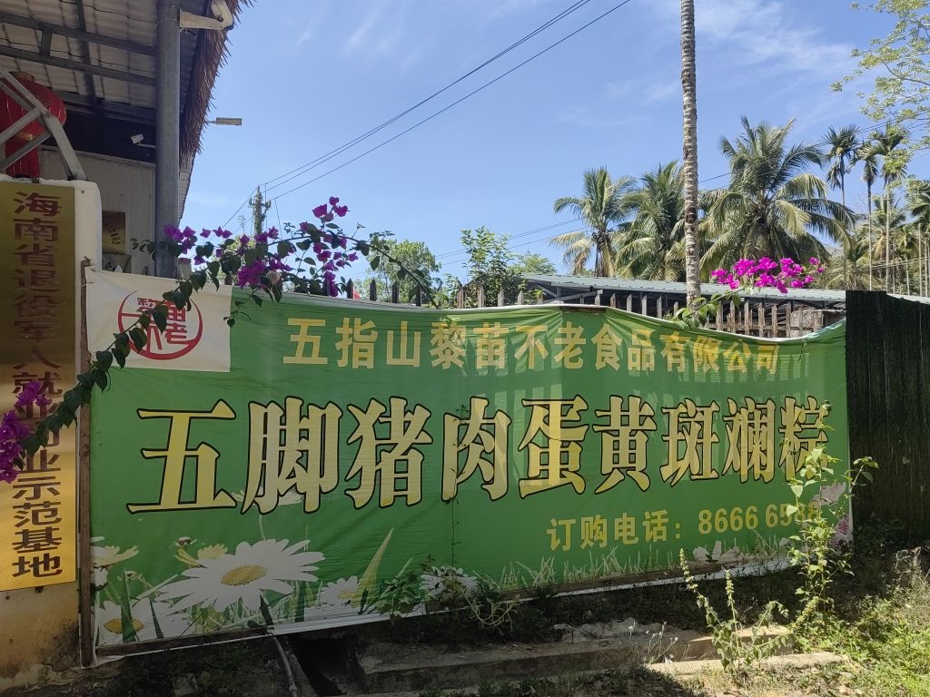 五指山黎苗不老食品有限公司