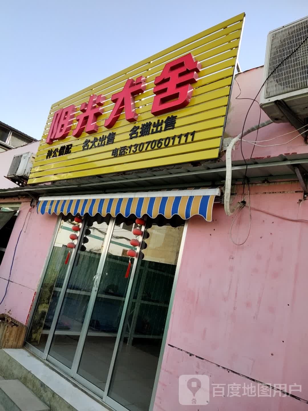 阳光犬舍(鲁中宠物市场店)