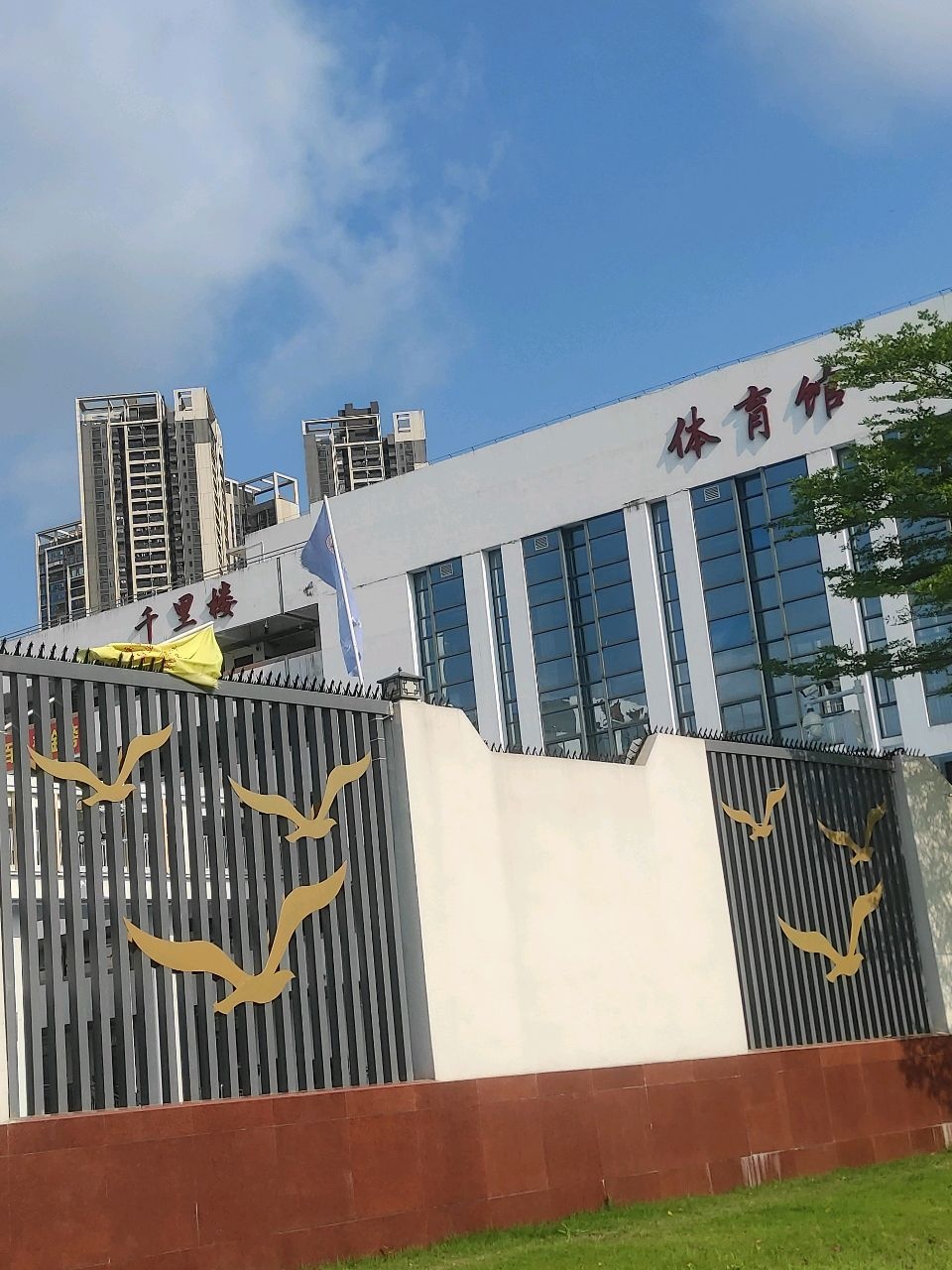 体育馆