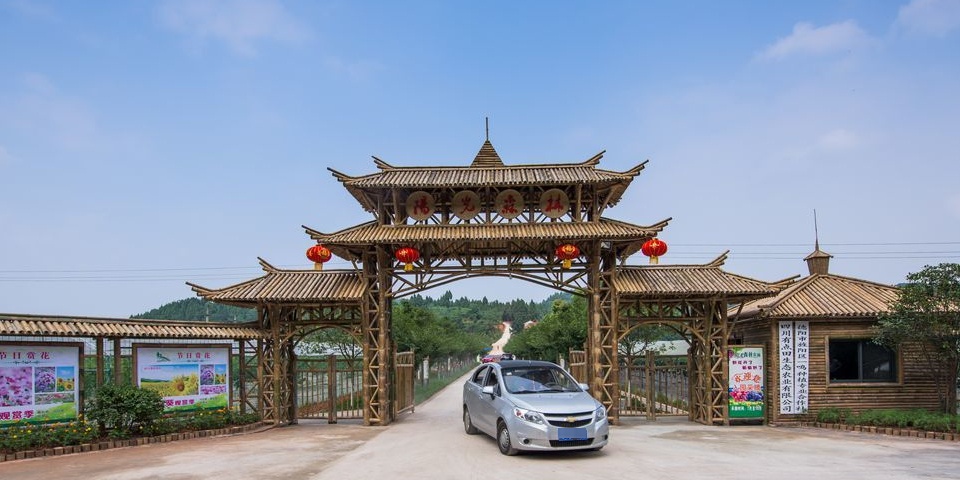 阳光森林家庭农场