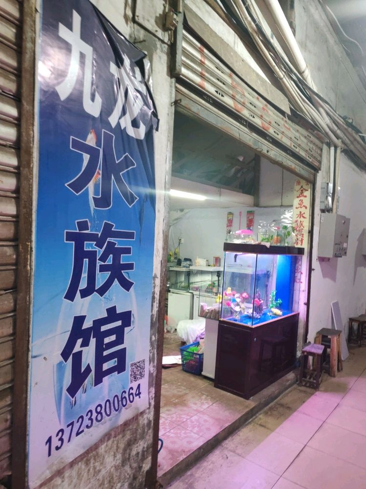 老九龙水族馆