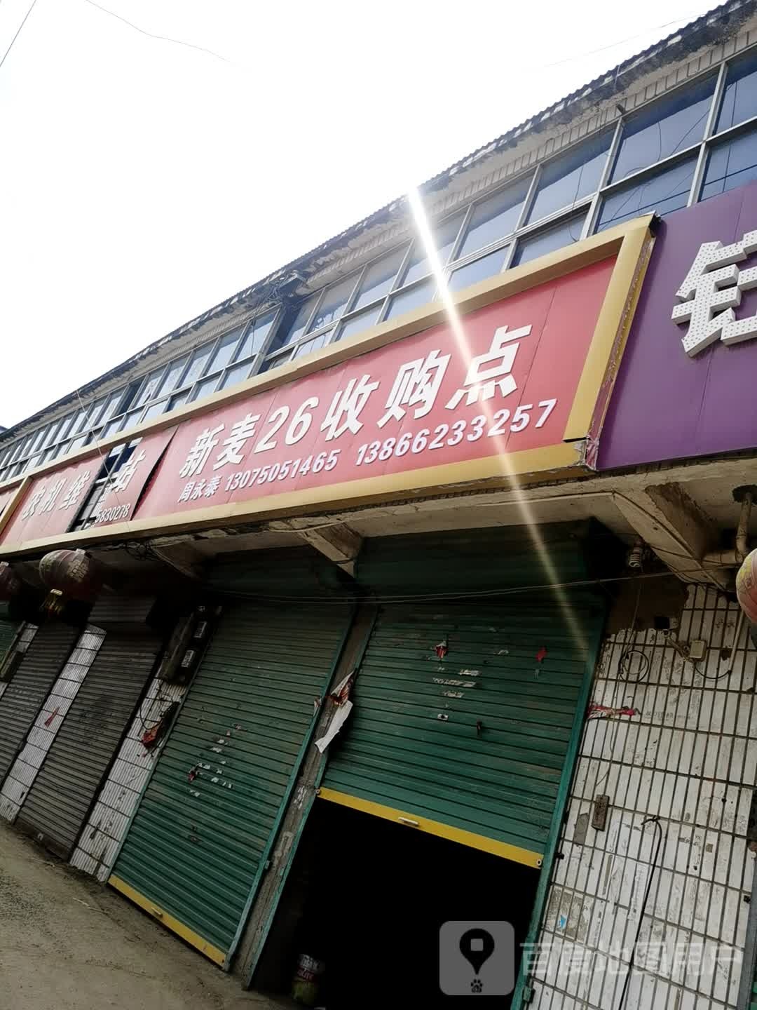 新麦26收购点