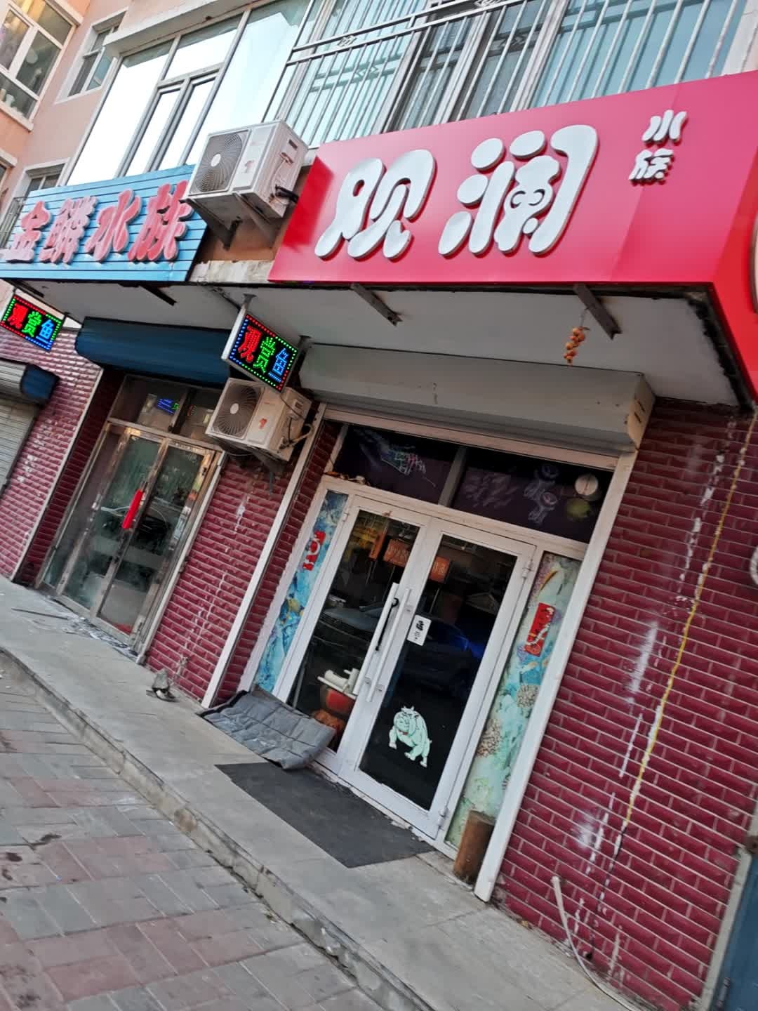 观澜水族