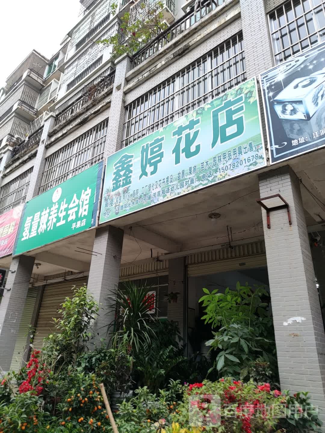 鑫婷花店