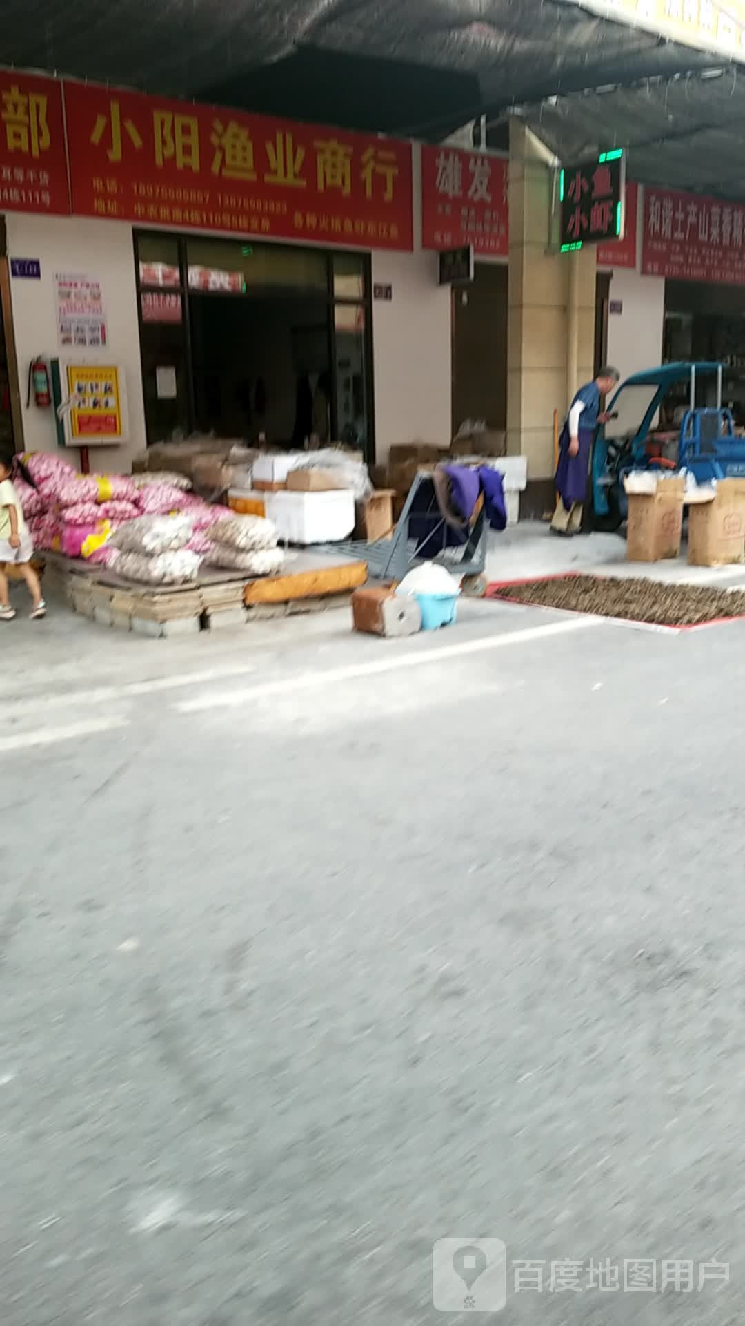 小阳鱼业