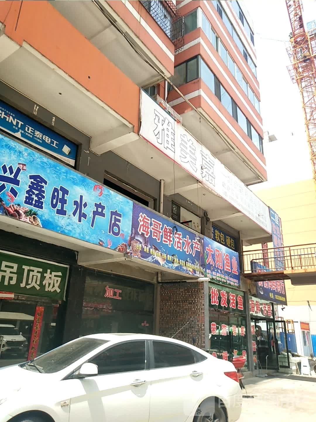 海哥牛活水产