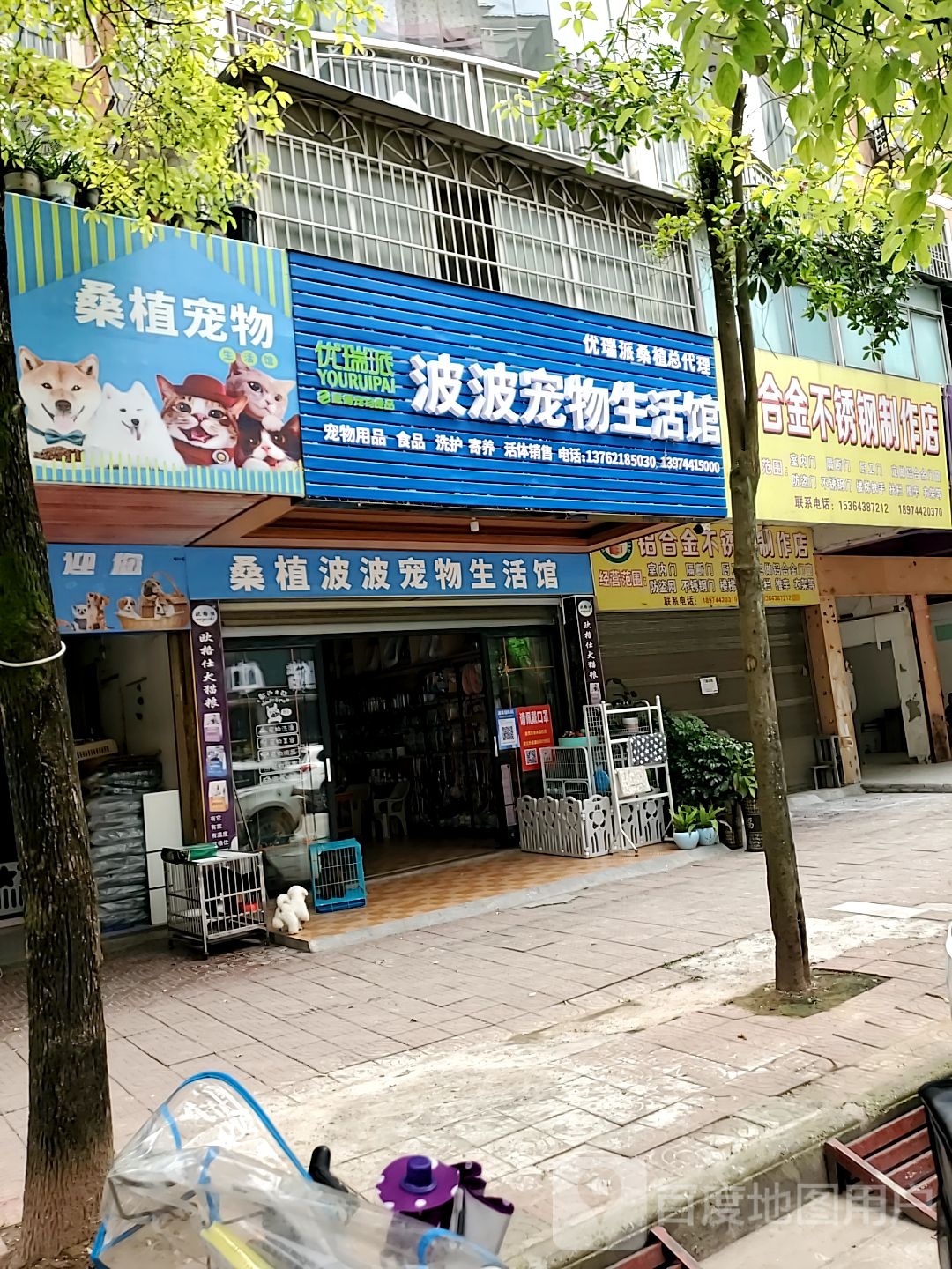 波波宠物生活馆(紫竹苑店)