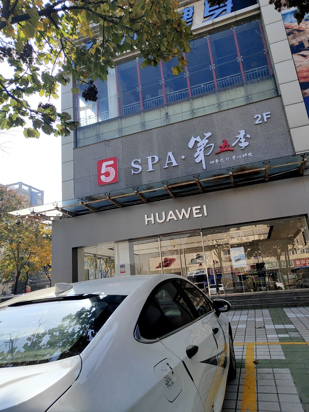 SPA·第五季