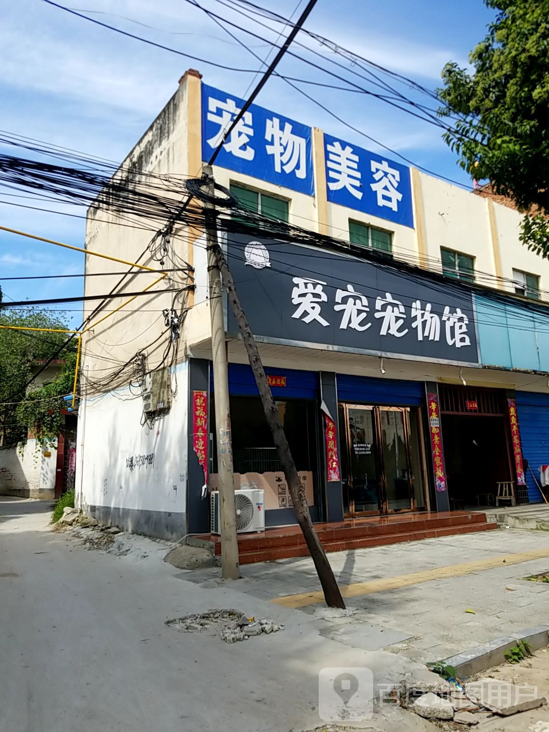 宠爱宠物馆(建设大道店)