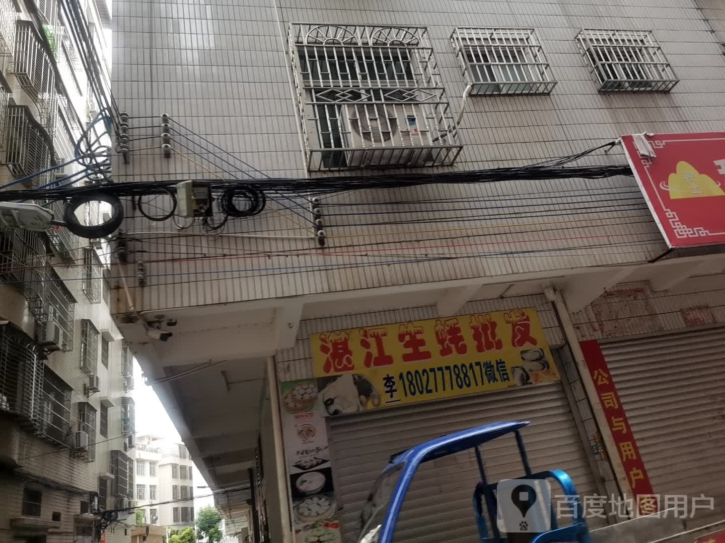 湛江生蚝批发