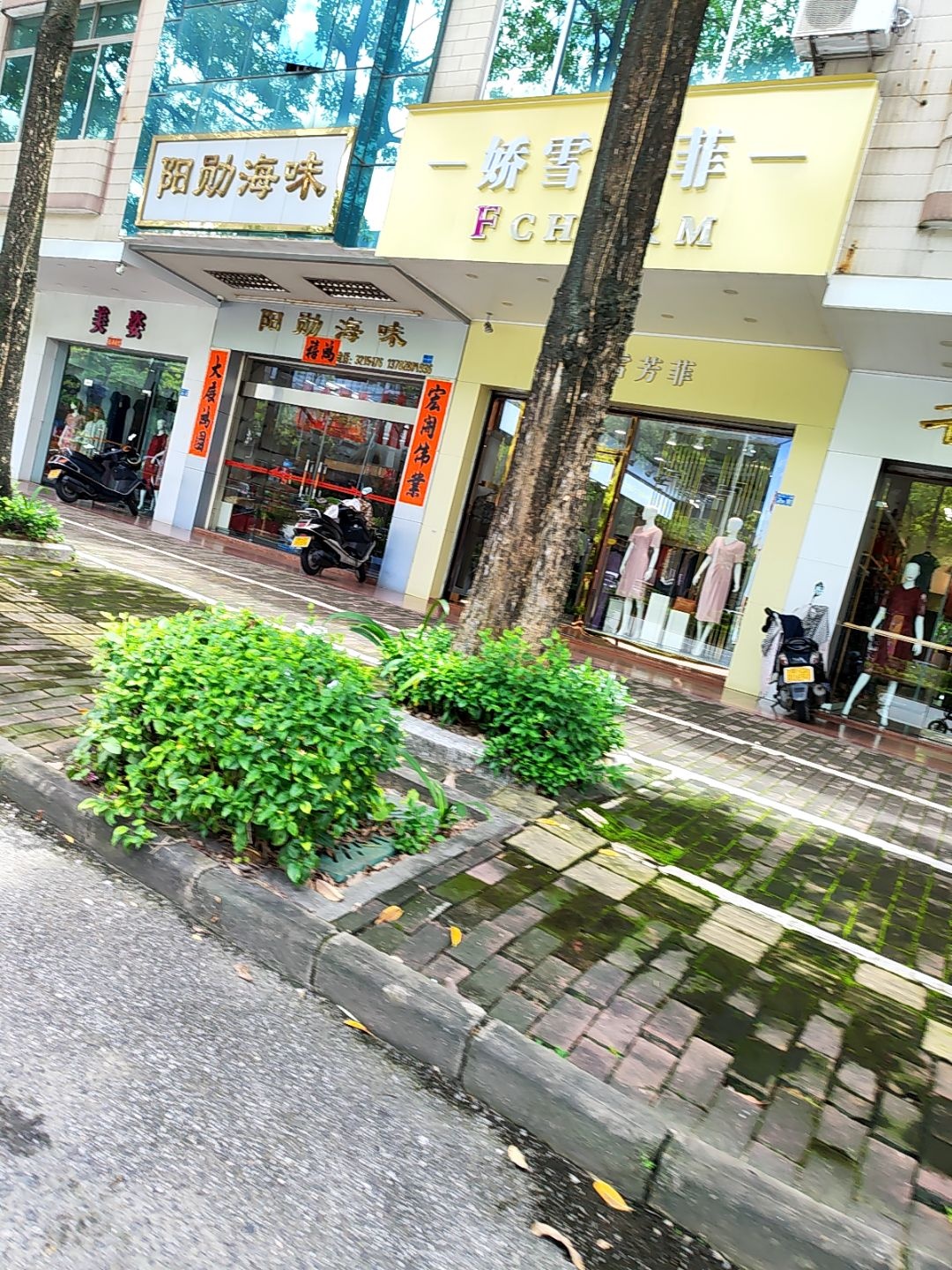 阳勋海味
