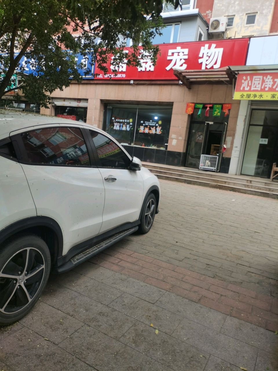 磊磊宠物