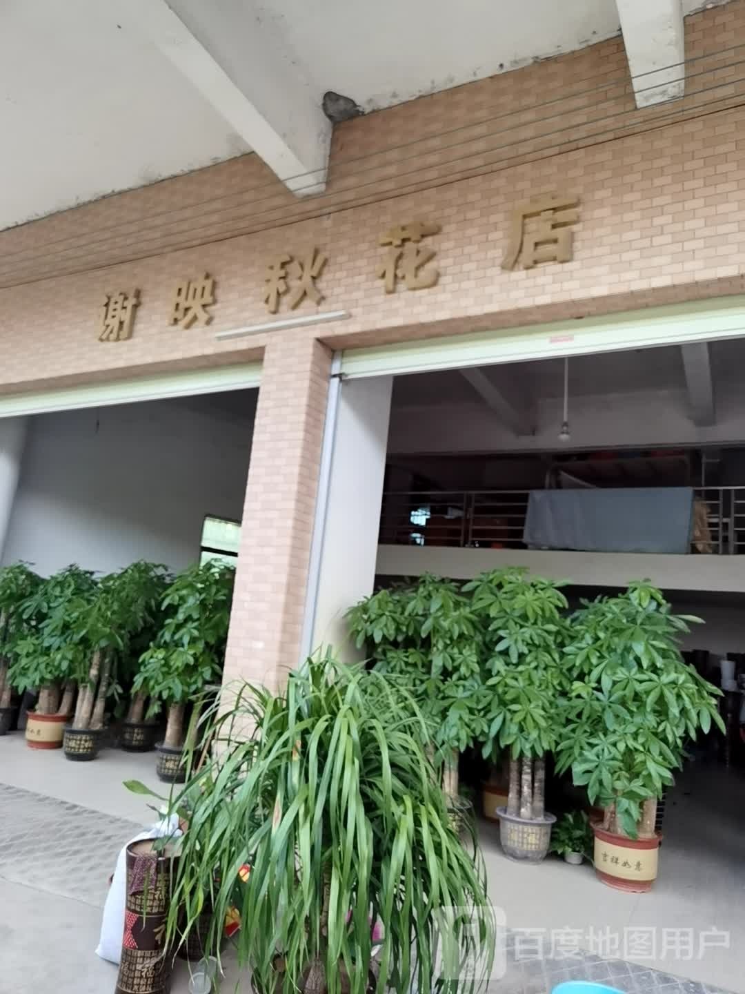 谢映秋花店
