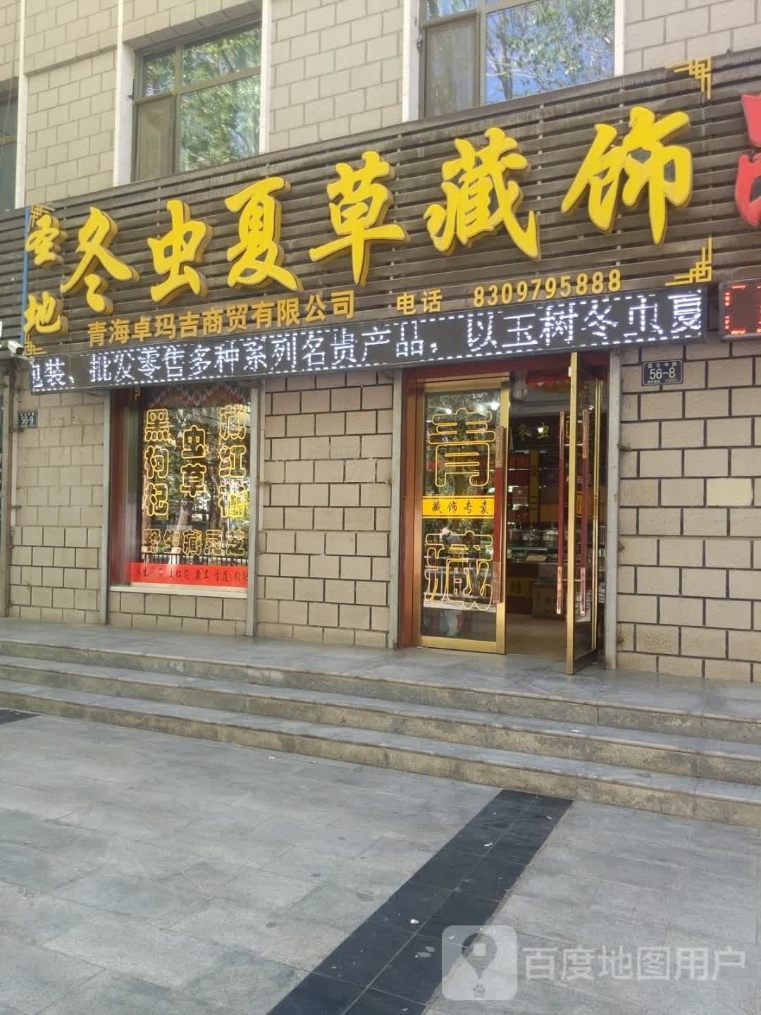 藏源冬虫夏草