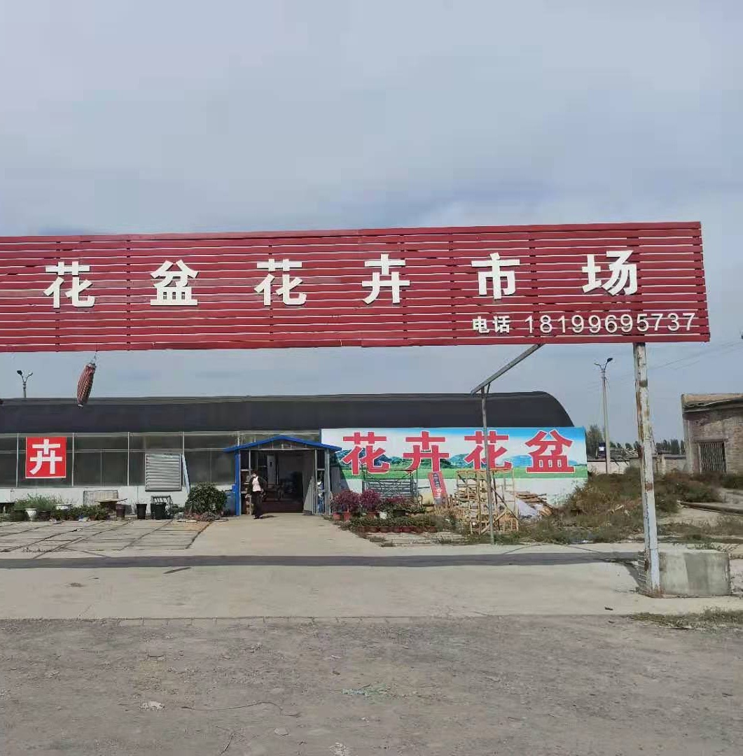 石河子市三宫店花卉市场