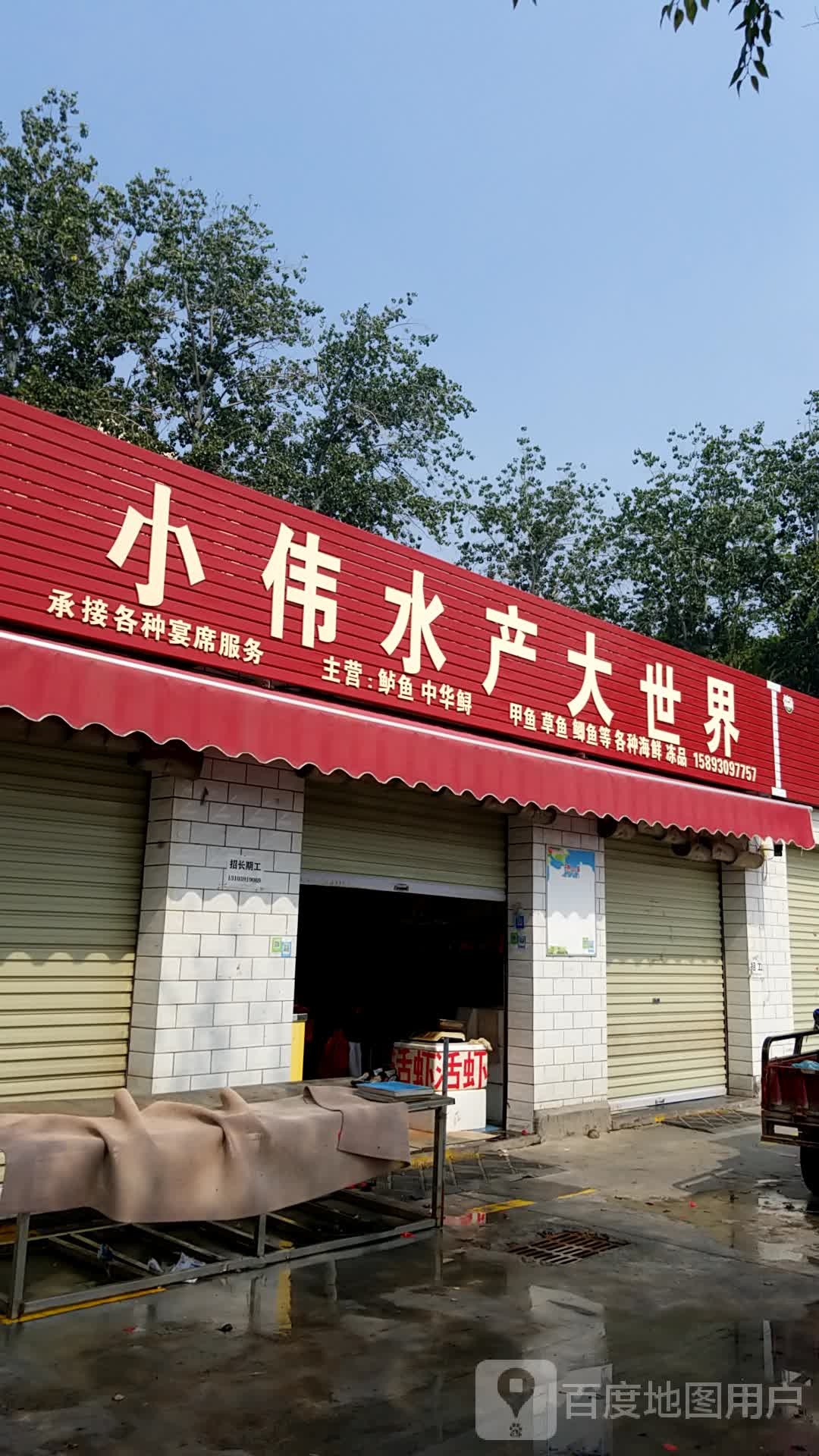 小伟水产大世介