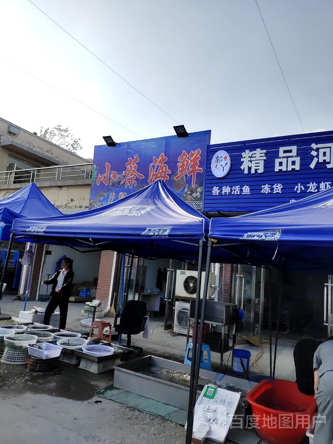 酮蔡谳砚小海鲜