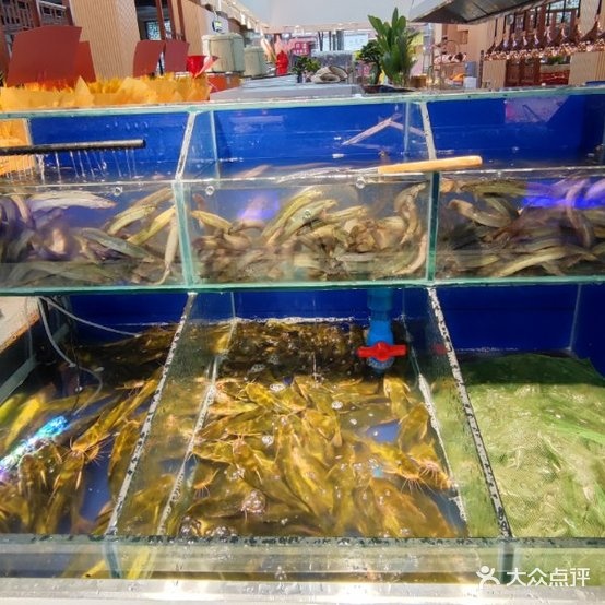 y火锅·海鲜烧烤自助生活馆
